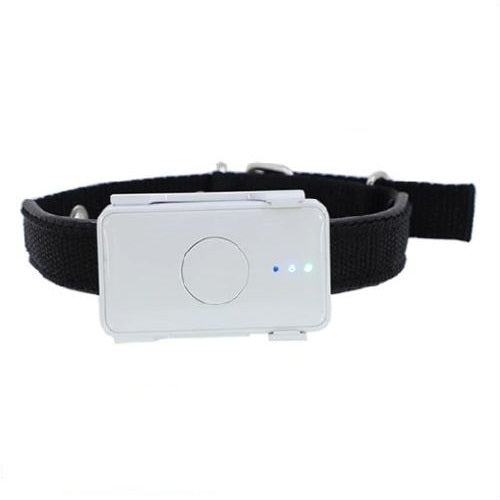 4G LTE Pet GPS Tracker for Dogs BARKAHOLICS® BH105 - BARKAHOLICS®